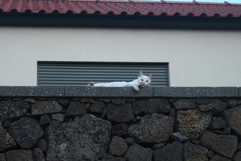 Vila Paim Santo Antonio  エクステリア 写真